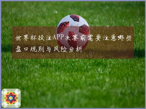 世界杯投注APP决赛前需要注意哪些盘口规则与风险分析