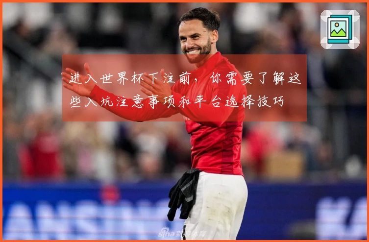 进入世界杯下注前，你需要了解这些入坑注意事项和平台选择技巧
