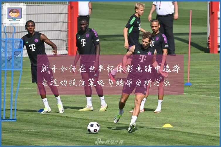 新手如何在世界杯体彩竞猜中选择合适的投注策略与赔率分析方法