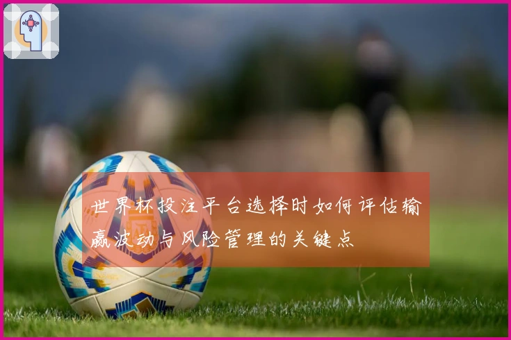 世界杯投注平台选择时如何评估输赢波动与风险管理的关键点