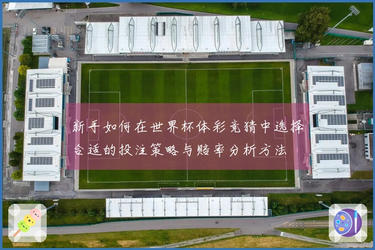 新手如何在世界杯体彩竞猜中选择合适的投注策略与赔率分析方法