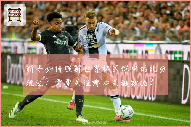 新手如何理解世界杯买球中的比分玩法？需要关注哪些关键数据？