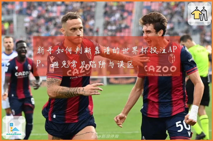 新手如何判断靠谱的世界杯投注APP，避免常见陷阱与误区