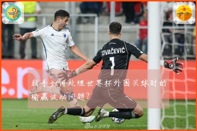 新手如何处理世界杯外围买球时的输赢波动问题？