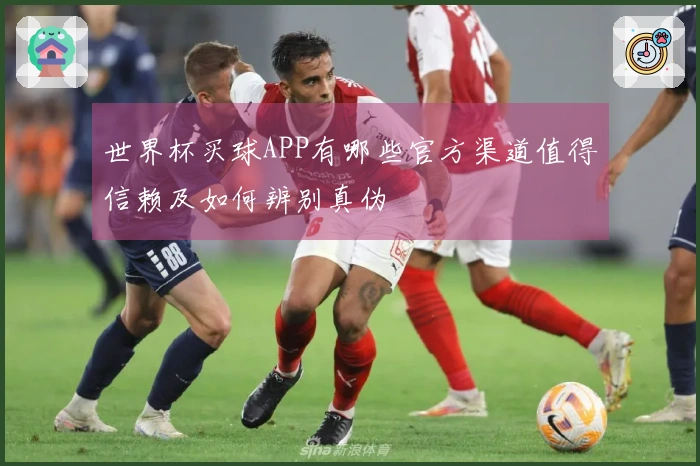 世界杯买球APP有哪些官方渠道值得信赖及如何辨别真伪