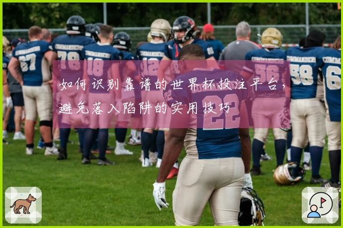 如何识别靠谱的世界杯投注平台，避免落入陷阱的实用技巧