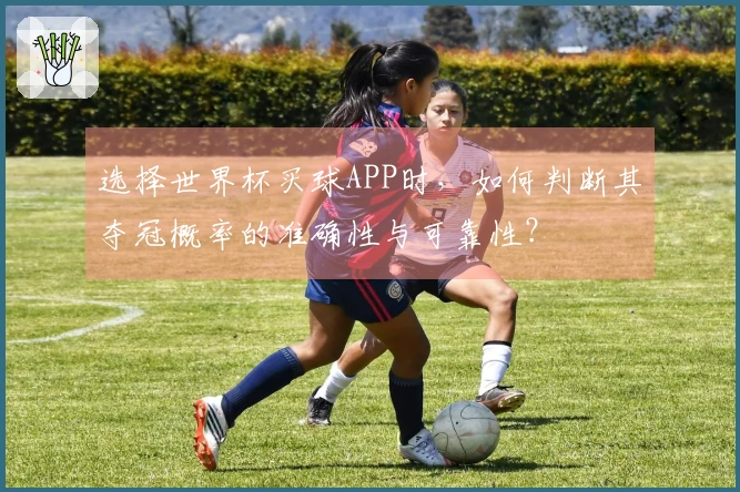 选择世界杯买球APP时，如何判断其夺冠概率的准确性与可靠性？