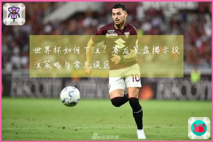 世界杯如何下注？赛后复盘揭示投注策略与常见误区