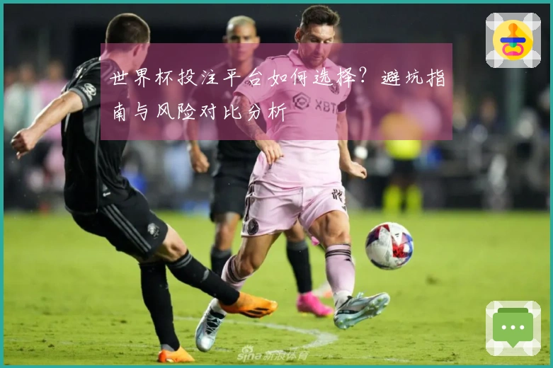 世界杯投注平台如何选择？避坑指南与风险对比分析