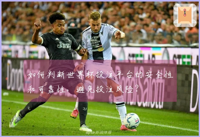 如何判断世界杯投注平台的安全性和可靠性，避免投注风险？