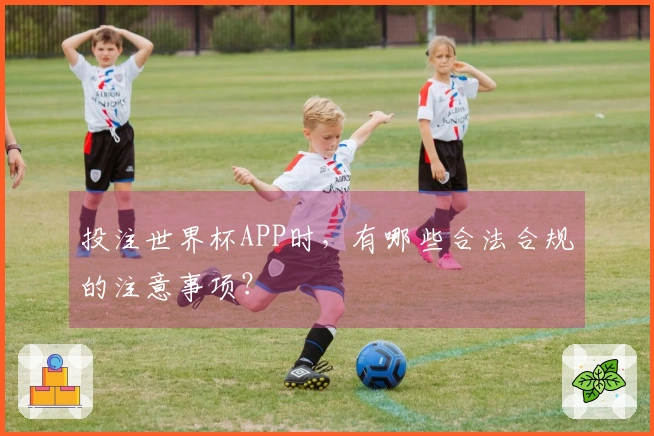投注世界杯APP时，有哪些合法合规的注意事项？