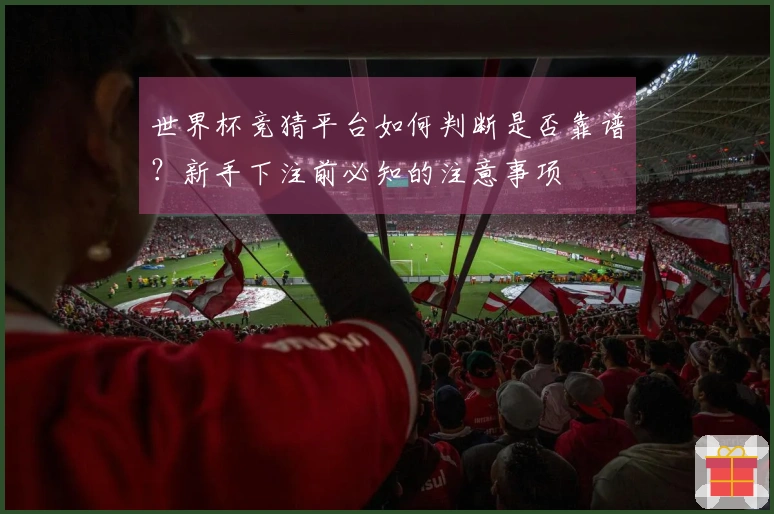 世界杯竞猜平台如何判断是否靠谱?新手下注前必知的注意事项