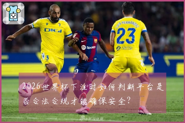 2026世界杯下注时如何判断平台是否合法合规才能确保安全？