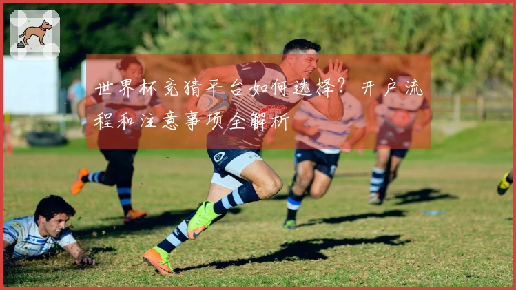 世界杯竞猜平台如何选择？开户流程和注意事项全解析