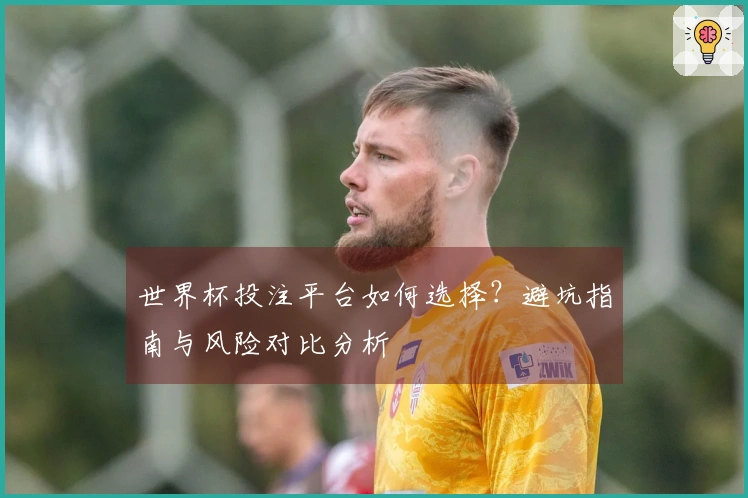 世界杯投注平台如何选择？避坑指南与风险对比分析