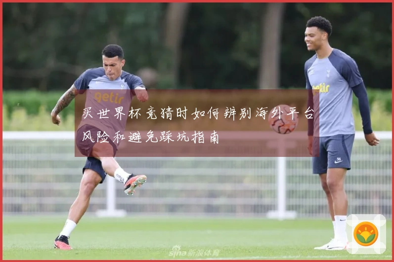买世界杯竞猜时如何辨别海外平台风险和避免踩坑指南