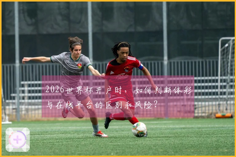 2026世界杯开户时，如何判断体彩与在线平台的区别和风险？