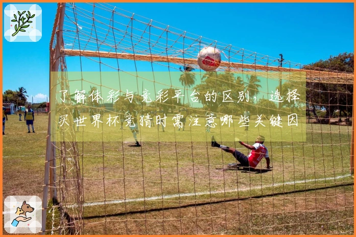 了解体彩与竞彩平台的区别，选择买世界杯竞猜时需注意哪些关键因素