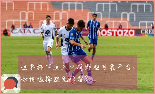 世界杯下注入口有哪些可靠平台，如何选择避免踩雷？