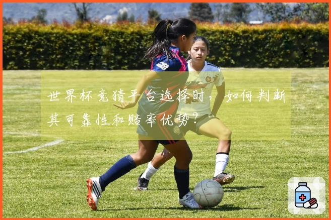 世界杯竞猜平台选择时，如何判断其可靠性和赔率优势？