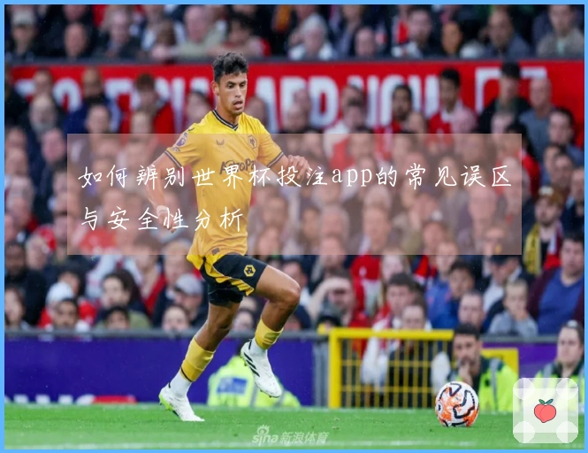 如何辨别世界杯投注app的常见误区与安全性分析