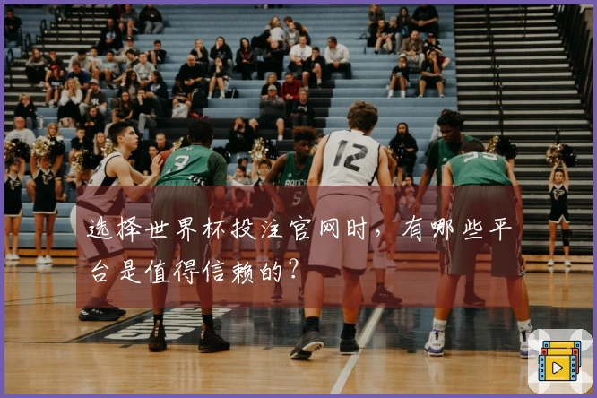 选择世界杯投注官网时，有哪些平台是值得信赖的？