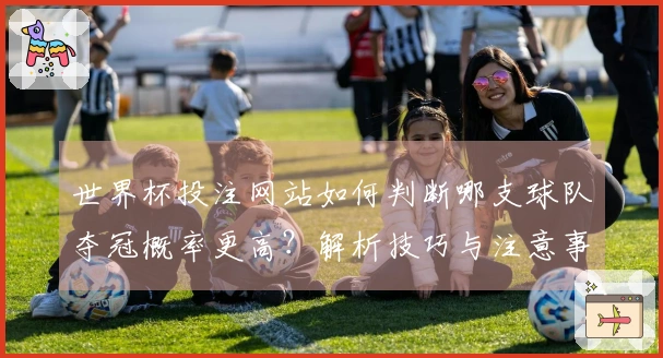 世界杯投注网站如何判断哪支球队夺冠概率更高？解析技巧与注意事项