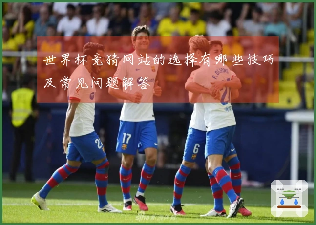世界杯竞猜网站的选择有哪些技巧及常见问题解答
